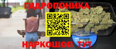 МДПВ Добрянка