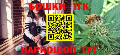 МДПВ Добрянка