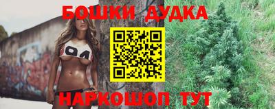 МДПВ Добрянка
